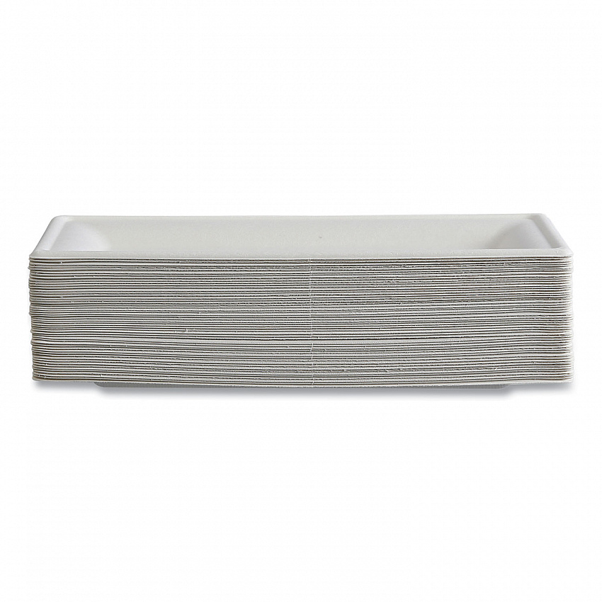 Vanguard Renewable and Compostable Sugarcane Plates, 5 x 10, White, 500/Carton (EPP024NFA)