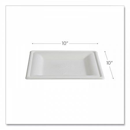 Vanguard Renewable and Compostable Sugarcane Plates, 10 x 10, White, 250/Carton (EPP023NFA)