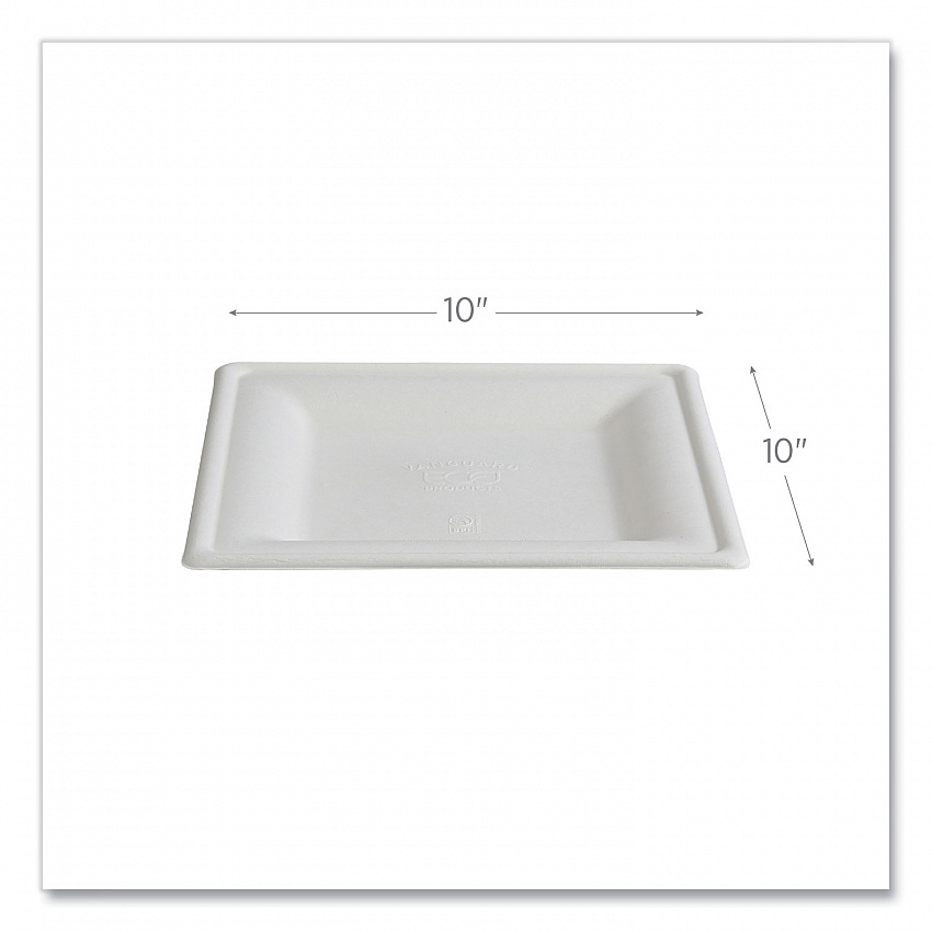 Vanguard Renewable and Compostable Sugarcane Plates, 10 x 10, White, 250/Carton (EPP023NFA)