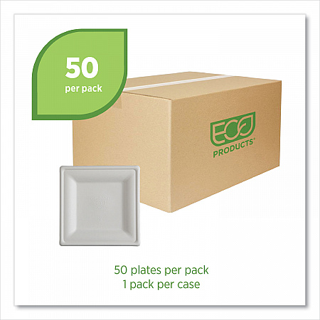 Vanguard Renewable and Compostable Sugarcane Plates, 10 x 10, White, 250/Carton (EPP023NFA)