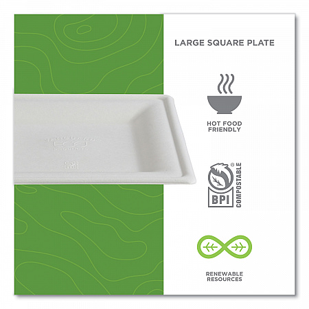 Vanguard Renewable and Compostable Sugarcane Plates, 10 x 10, White, 250/Carton (EPP023NFA)
