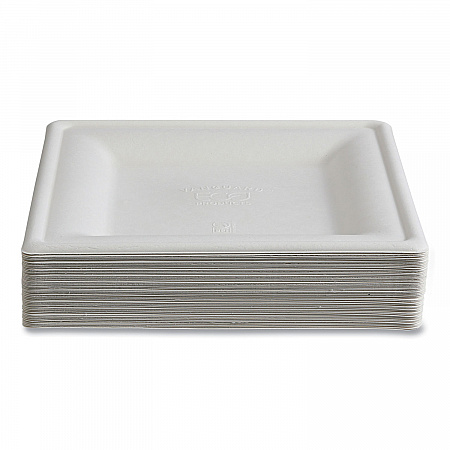 Vanguard Renewable and Compostable Sugarcane Plates, 10 x 10, White, 250/Carton (EPP023NFA)