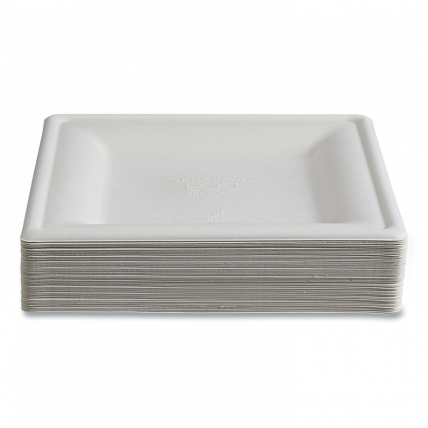 Vanguard Renewable and Compostable Sugarcane Plates, 10 x 10, White, 250/Carton (EPP023NFA)