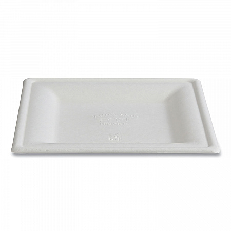 Vanguard Renewable and Compostable Sugarcane Plates, 10 x 10, White, 250/Carton (EPP023NFA)