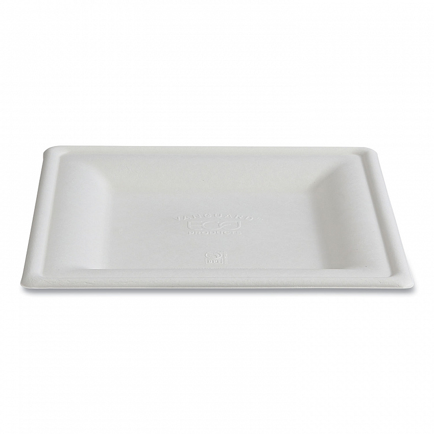 Vanguard Renewable and Compostable Sugarcane Plates, 10 x 10, White, 250/Carton (EPP023NFA)