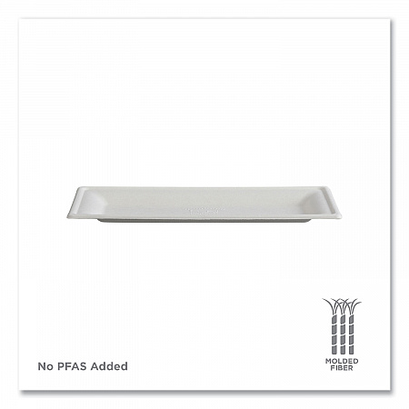 Vanguard Renewable and Compostable Sugarcane Plates, 5 x 10, White, 500/Carton (EPP024NFA)