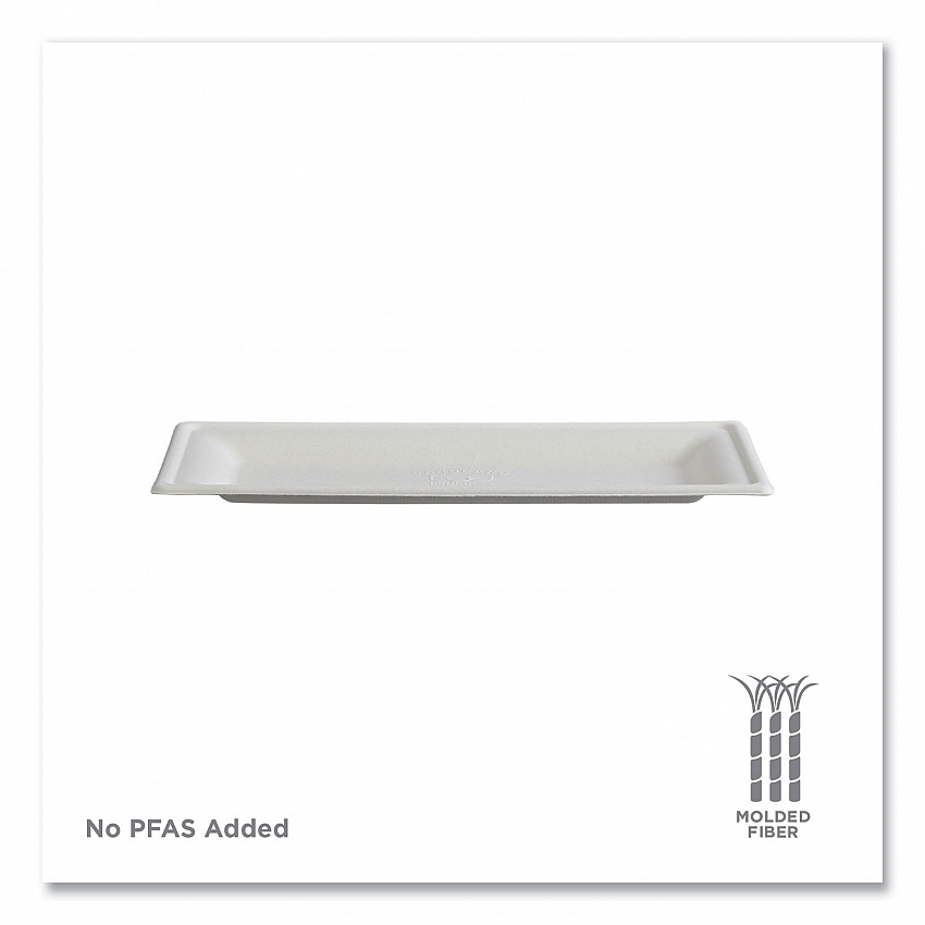 Vanguard Renewable and Compostable Sugarcane Plates, 5 x 10, White, 500/Carton (EPP024NFA)