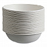 Vanguard Renewable and Compostable Sugarcane Bowls, 16 oz, White, 800/Carton (EPBL16CNFA)