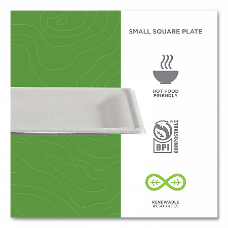 Vanguard Renewable and Compostable Sugarcane Plates, 6 x 6, White, 500/Carton (EPP021NFA)