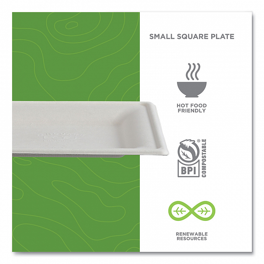 Vanguard Renewable and Compostable Sugarcane Plates, 6 x 6, White, 500/Carton (EPP021NFA)