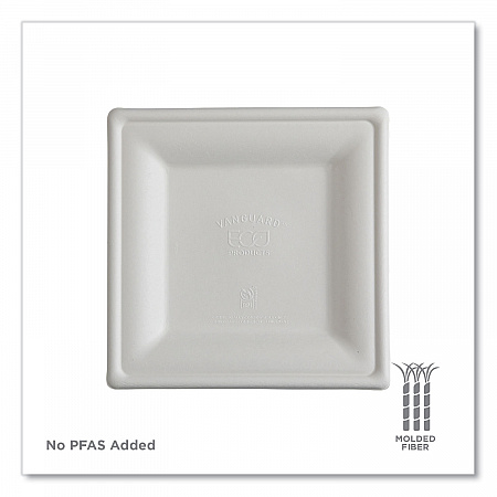 Vanguard Renewable and Compostable Sugarcane Plates, 10 x 10, White, 250/Carton (EPP023NFA)