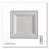 Vanguard Renewable and Compostable Sugarcane Plates, 10 x 10, White, 250/Carton (EPP023NFA)