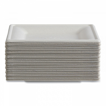 Vanguard Renewable and Compostable Sugarcane Plates, 6 x 6, White, 500/Carton (EPP021NFA)