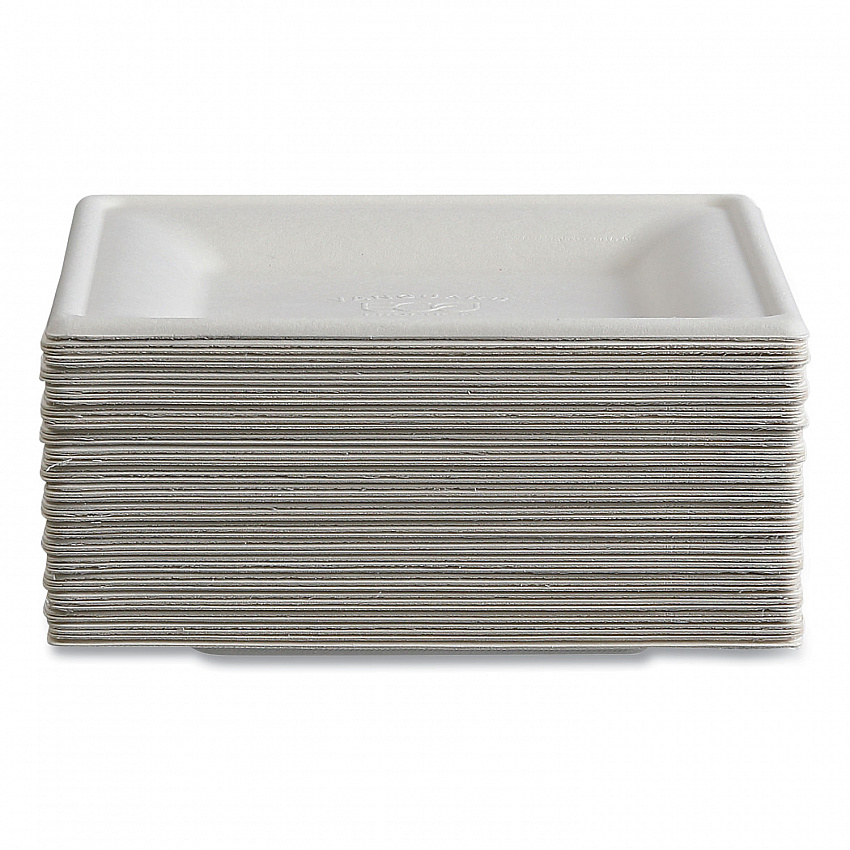 Vanguard Renewable and Compostable Sugarcane Plates, 6 x 6, White, 500/Carton (EPP021NFA)