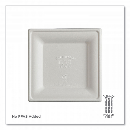 Vanguard Renewable and Compostable Sugarcane Plates, 6 x 6, White, 500/Carton (EPP021NFA)