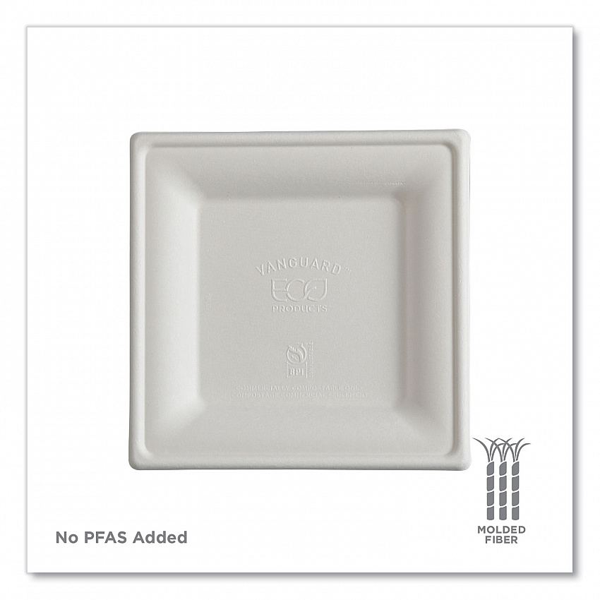 Vanguard Renewable and Compostable Sugarcane Plates, 6 x 6, White, 500/Carton (EPP021NFA)