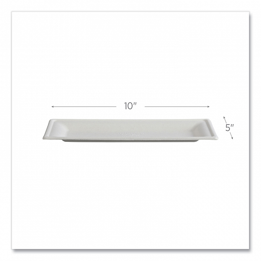 Vanguard Renewable and Compostable Sugarcane Plates, 5 x 10, White, 500/Carton (EPP024NFA)