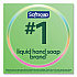 Liquid Hand Soap Refill with Aloe, Aloe Vera Fresh Scent, 1 gal Bottle (61036483EA)