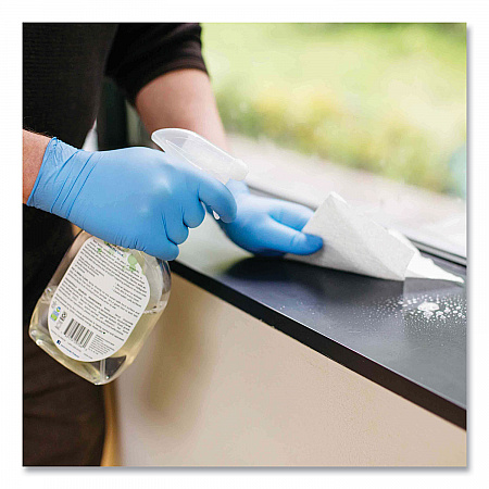 Industrial Nitrile Gloves, Powder-Free, Large, 5 mil Thick, 9.5