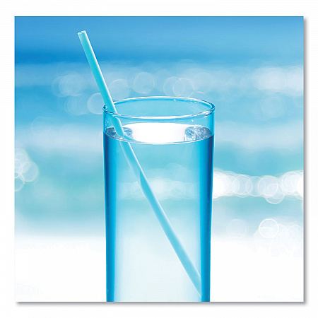 Marine Biodegradable Straws, 7.75