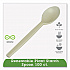 EcoSense Renewable Plant Starch Cutlery, Spoon, Plastic, Cream, 50/Pack (EPS003PK)