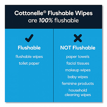 Fresh Care Flushable Cleansing Cloths, 1-Ply, 5 x 7.25, White, 168/Pack, 8 Packs/Carton (10358CT)