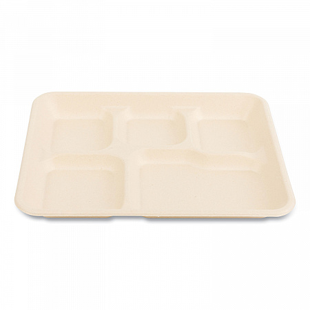 Bagasse PFAS-Free Food Tray, 5 Compartments, 8.26 x 0.98 x 10.9, Tan, Sugarcane, 500/Carton (TRAY128NPFA)