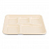 Bagasse PFAS-Free Food Tray, 5 Compartments, 8.26 x 0.98 x 10.9, Tan, Sugarcane, 500/Carton (TRAY128NPFA)
