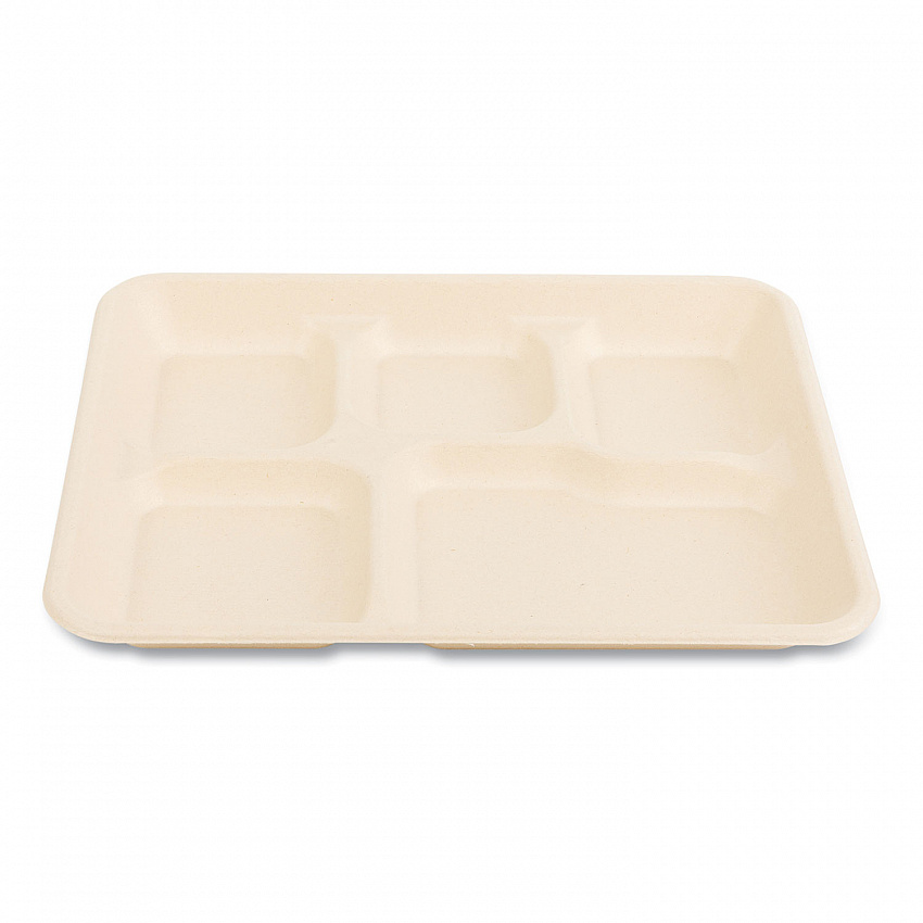Bagasse PFAS-Free Food Tray, 5 Compartments, 8.26 x 0.98 x 10.9, Tan, Sugarcane, 500/Carton (TRAY128NPFA)