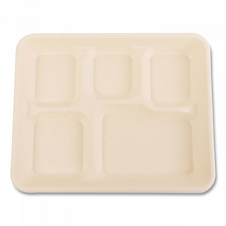 Bagasse PFAS-Free Food Tray, 5 Compartments, 8.26 x 0.98 x 10.9, Tan, Sugarcane, 500/Carton (TRAY128NPFA)