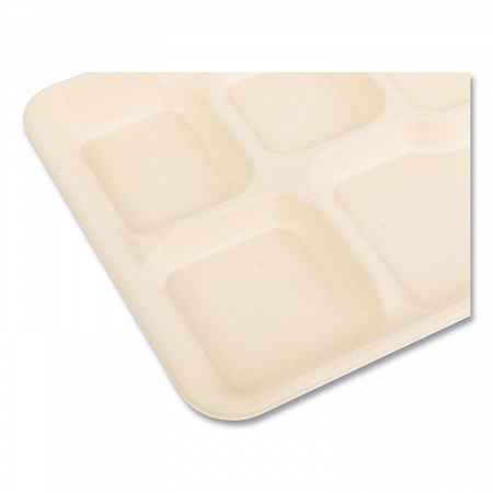 Bagasse PFAS-Free Food Tray, 5 Compartments, 8.26 x 0.98 x 10.9, Tan, Sugarcane, 500/Carton (TRAY128NPFA)