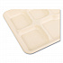 Bagasse PFAS-Free Food Tray, 5 Compartments, 8.26 x 0.98 x 10.9, Tan, Sugarcane, 500/Carton (TRAY128NPFA)