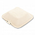 Bagasse PFAS-Free Food Containers, 6 x 6 x 3.19, Tan, Sugarcane, 500/Carton (HINGE66NPFA)