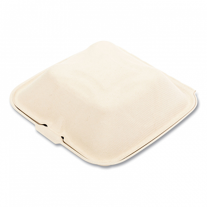 Bagasse PFAS-Free Food Containers, 6 x 6 x 3.19, Tan, Sugarcane, 500/Carton (HINGE66NPFA)