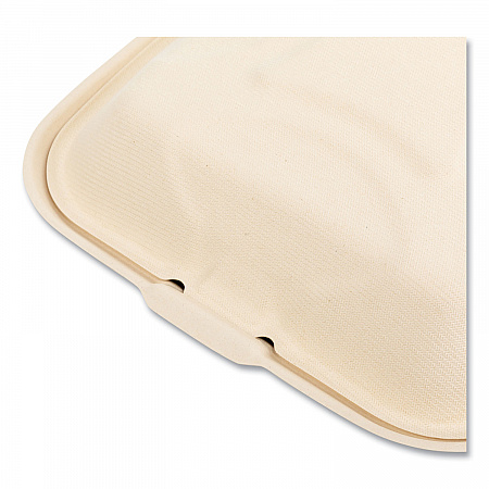 Bagasse PFAS-Free Food Containers, 3 Compartments, 9 x 3.19 x 9, Tan, Sugarcane, 200/Carton (HNGE3C9NPFA)