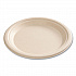Bagasse PFAS-Free Dinnerware, Plate, Sugarcane, 9