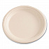 Bagasse PFAS-Free Dinnerware, Plate, Sugarcane, 9