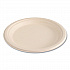 Bagasse PFAS-Free Dinnerware, Plate, Sugarcane, 9