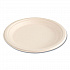 Bagasse PFAS-Free Dinnerware, Plate, Sugarcane, 9