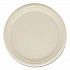 Bagasse PFAS-Free Dinnerware, Plate, Sugarcane, 10