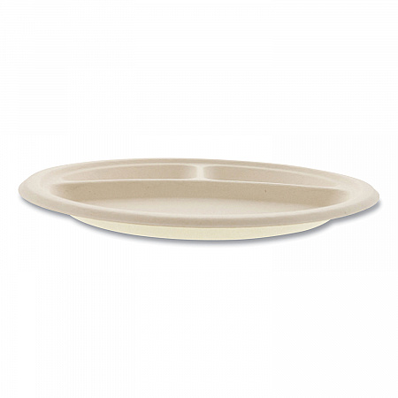 Bagasse PFAS-Free Dinnerware, 3-Compartment Plate, Sugarcane, 10