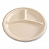 Bagasse PFAS-Free Dinnerware, 3-Compartment Plate, Sugarcane, 10