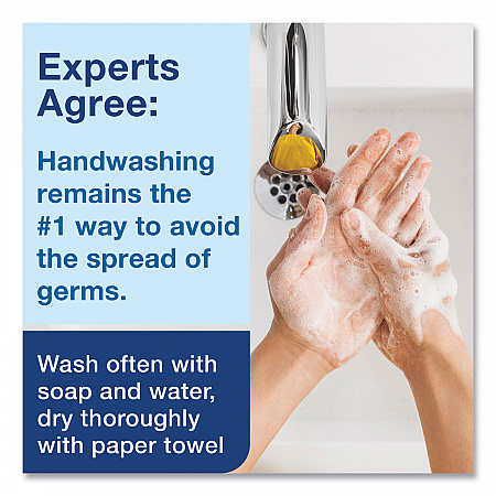 Clarity Hand Soap Refill, Unscented, 1 L, 6/Carton (401800)