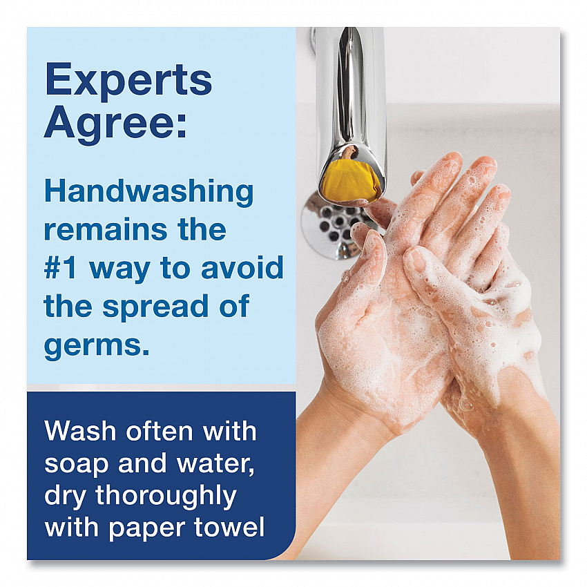Clarity Hand Soap Refill, Unscented, 1 L, 6/Carton (401800)