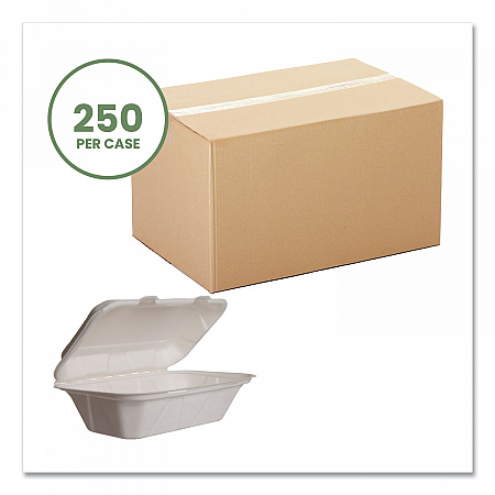 Nourish Molded Fiber Takeout Containers, Compostable, 5 x 9 x 2, White, Sugarcane, 250/Carton (WHHOAGIE)
