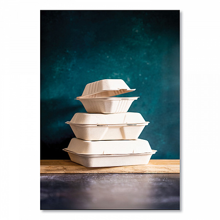 Nourish Molded Fiber Takeout Containers, Compostable, 5 x 9 x 2, White, Sugarcane, 250/Carton (WHHOAGIE)