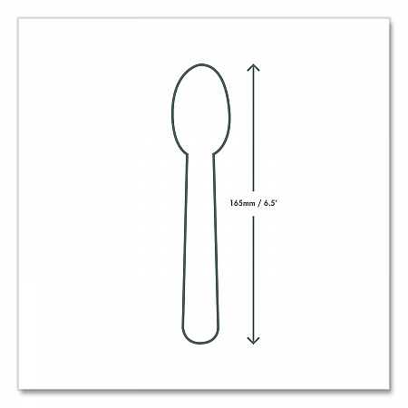 White CPLA Cutlery, General Purpose Spoon, Plastic, 1,000/Carton (VWSP65)