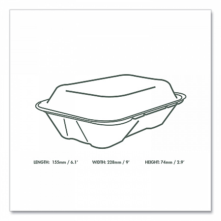 Nourish Molded Fiber Takeout Containers, Compostable, 6.1 x 9 x 2.9, Natural, Sugarcane, 200/Carton (VWHC96NFA)