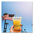 96 Series Cold Cup Lids, Fits Vegware 96-Series Cold Cups, Plastic, Clear, 1,000/Carton (C96FCH)
