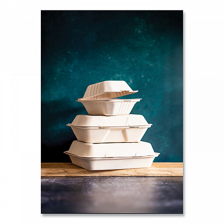 Nourish Molded Fiber Takeout Containers, Compostable, 9 x 9 x 3, Natural, Sugarcane, 200/Carton (VWHC91NFA)